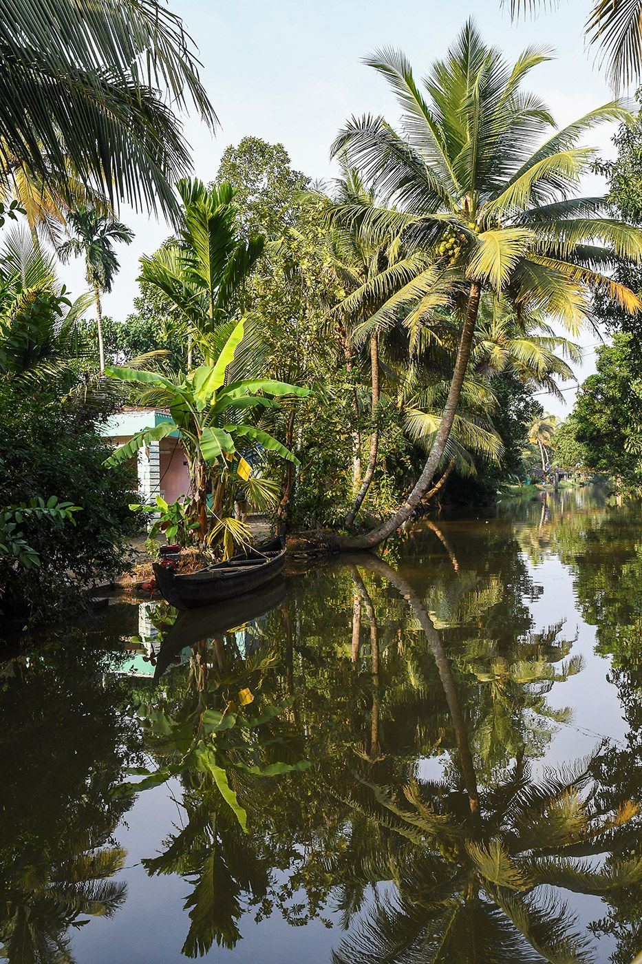 BACKWATERS 08